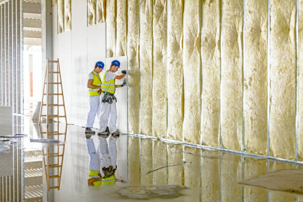 Best Fiberglass Insulation in Lewisburg, WV
